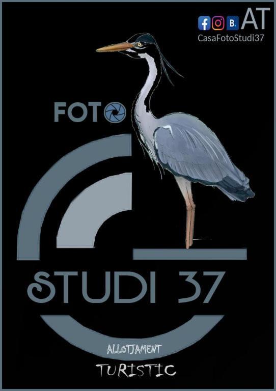 Casa Fotostudi37 Apartamento Deltebre Exterior foto